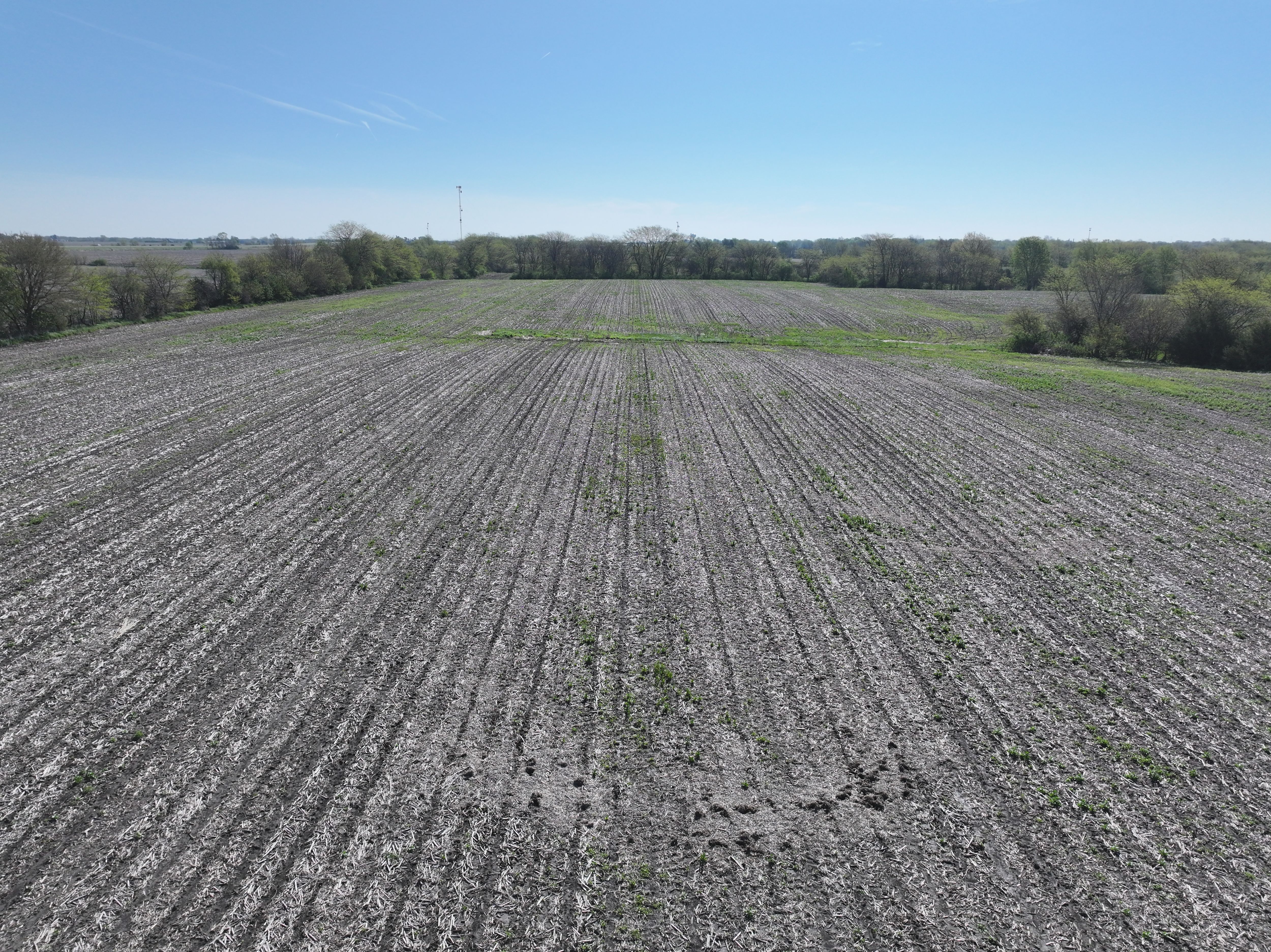 Listing Photo: DJI_20260420091658_0191_D (1)